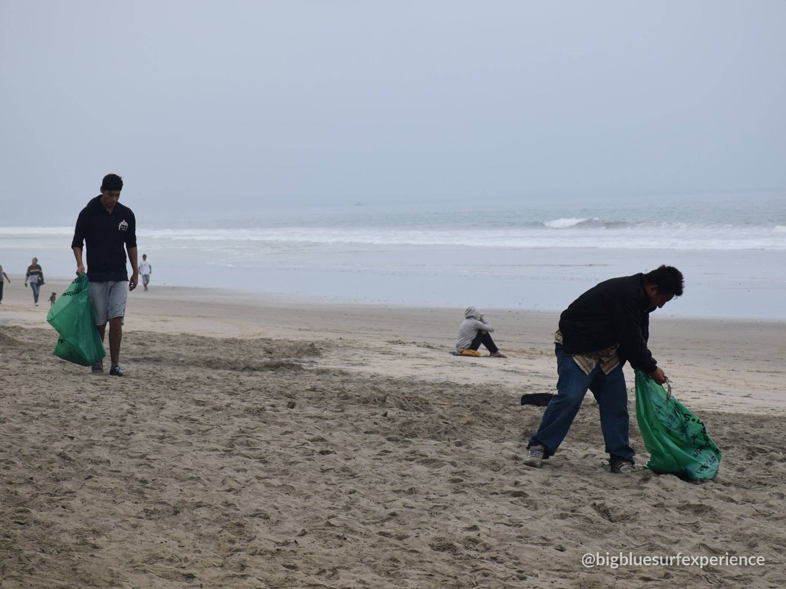 Volunteers collecting waste in green bags during the BigBlue beach clean-up in Taghazout