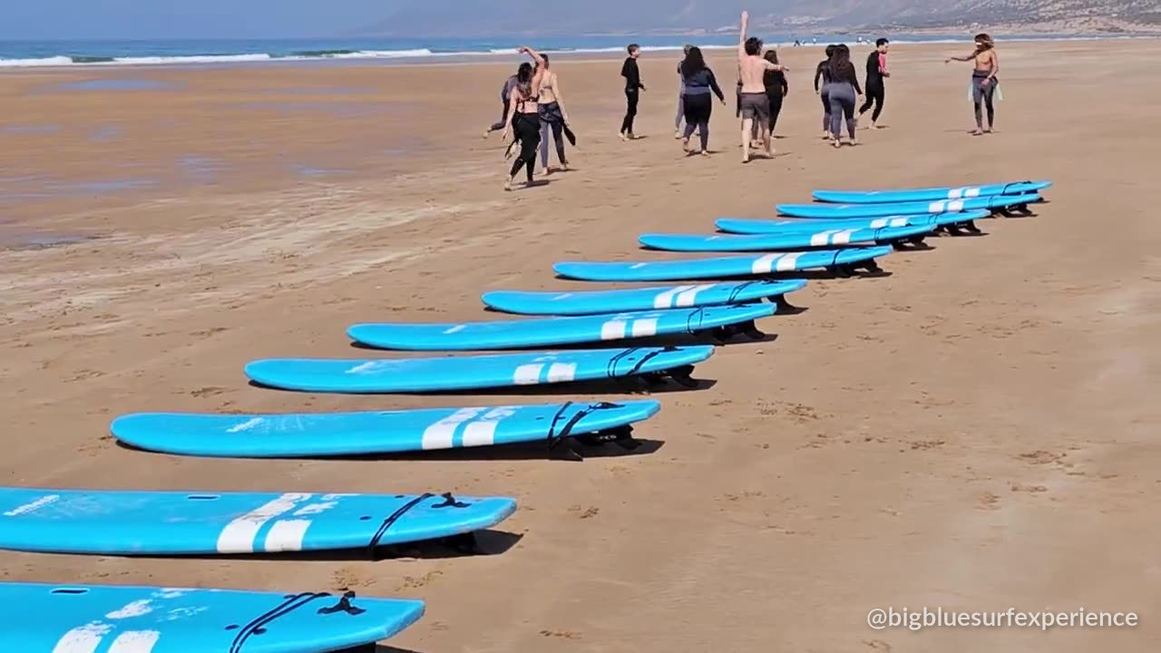 BigBlue boards lined up on the sand before a session